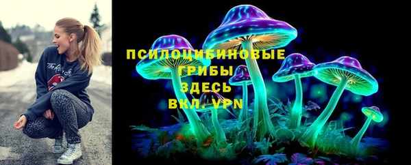 дурь Алзамай
