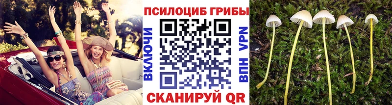 Галлюциногенные грибы прущие грибы  мориарти Telegram  Куровское 
